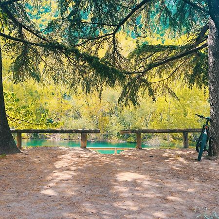 Green House Bassano del Grappa Dış mekan fotoğraf